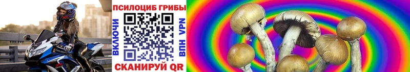 Галлюциногенные грибы Psilocybe  Жуков 